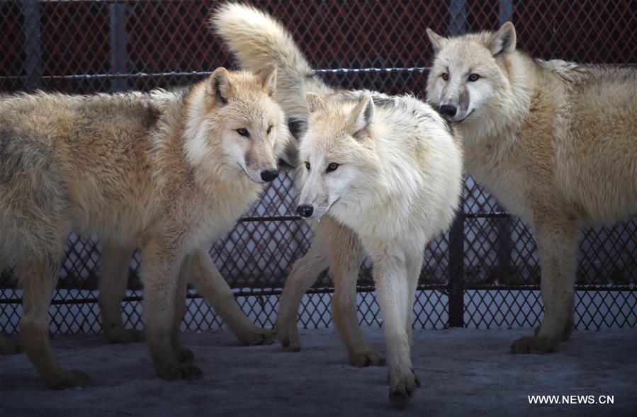 ????? 5 ????? ???? ????? ?? ????? ?? ????? ?????