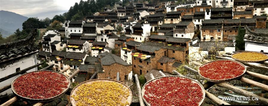 ????? ????? ??????? ?? ??? ????? ??????? ???????