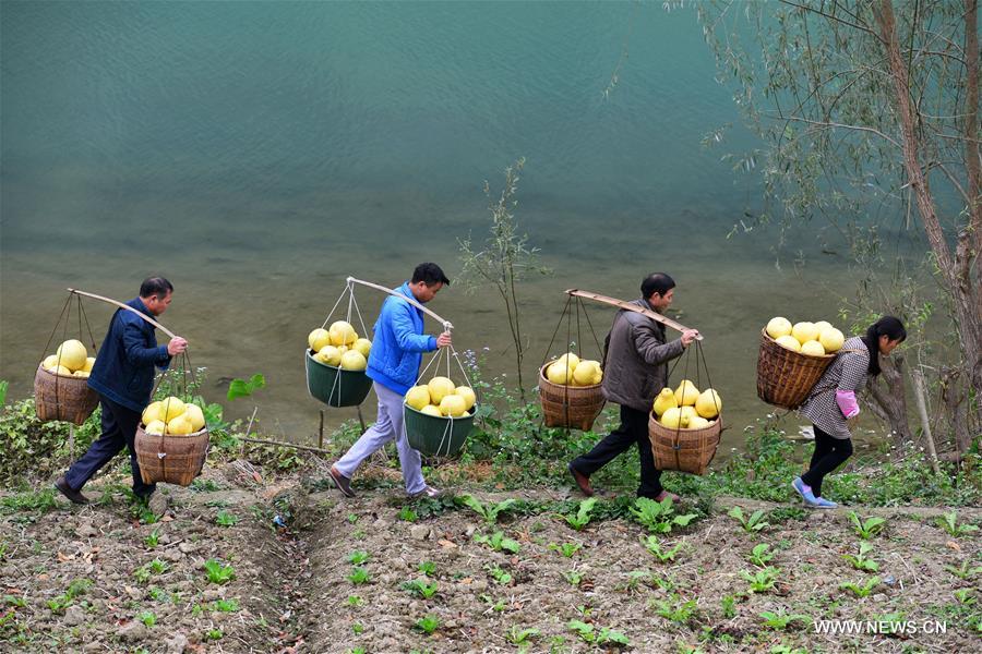 ???? ?????? ????? ???? ?? ???? ???? ?????