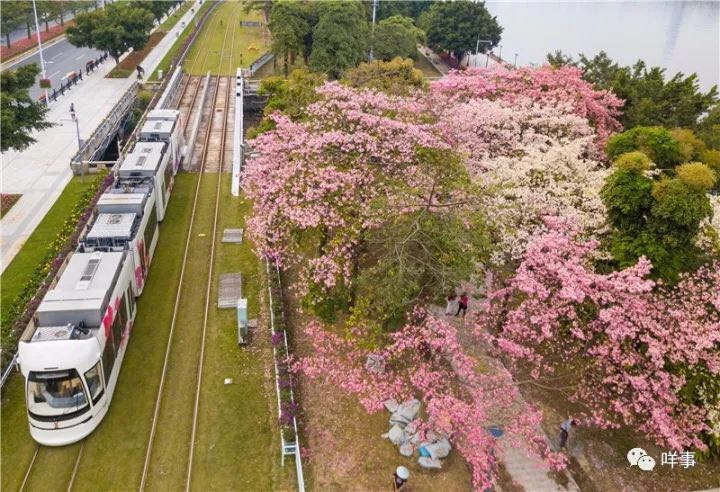 ???????? ???? ?????? ????? ????? ?? ??????