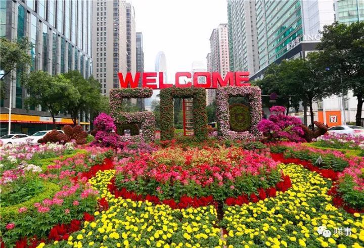 ???????? ???? ?????? ????? ????? ?? ??????