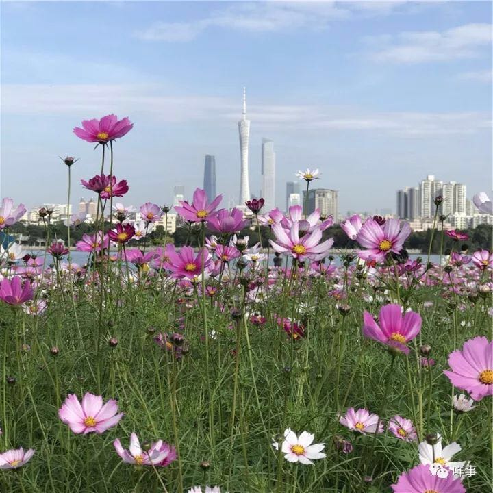 ???????? ???? ?????? ????? ????? ?? ??????