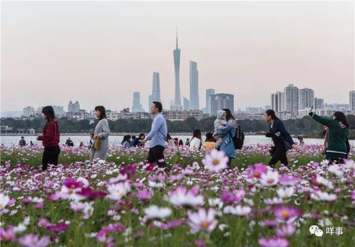 ???????? ???? ?????? ????? ????? ?? ??????