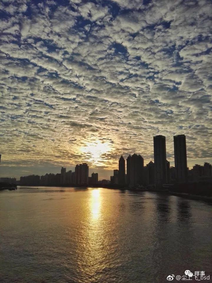 ???????? ???? ?????? ????? ????? ?? ??????