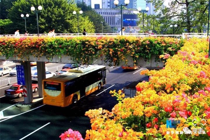 ???????? ???? ?????? ????? ????? ?? ??????