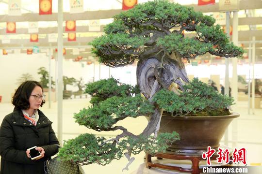 ??????: ???? ??????? ???????? ?? ?????? ?? ?????????