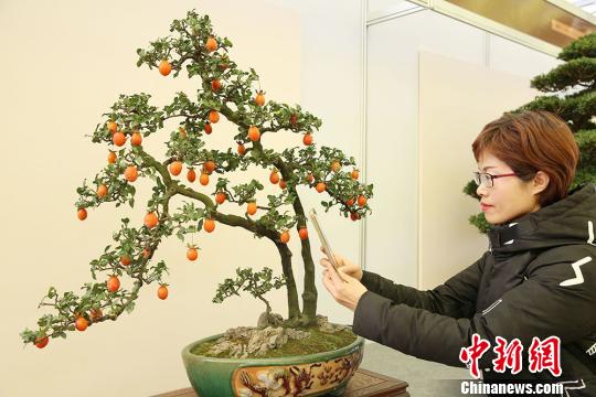 ??????: ???? ??????? ???????? ?? ?????? ?? ?????????