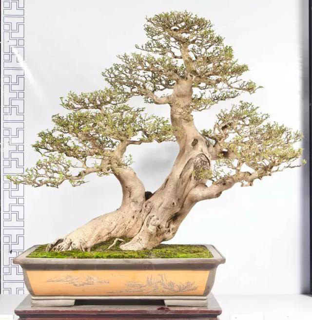 ??????: ???? ??????? ???????? ?? ?????? ?? ?????????