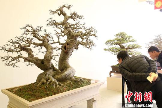 ??????: ???? ??????? ???????? ?? ?????? ?? ?????????