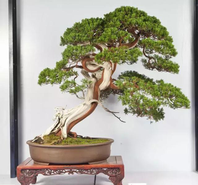 ??????: ???? ??????? ???????? ?? ?????? ?? ?????????