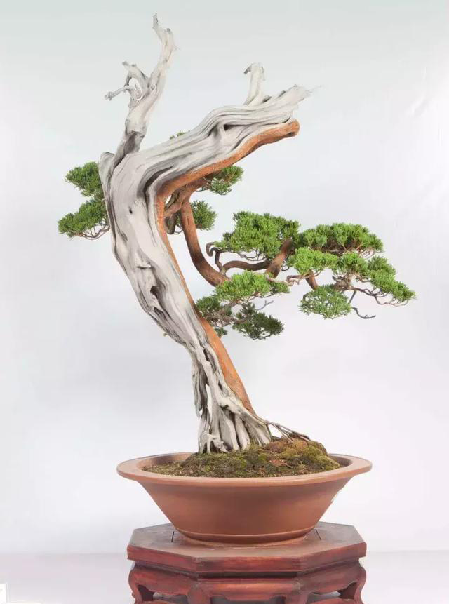 ??????: ???? ??????? ???????? ?? ?????? ?? ?????????