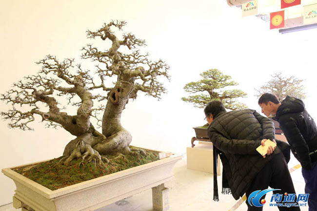 ??????: ???? ??????? ???????? ?? ?????? ?? ?????????