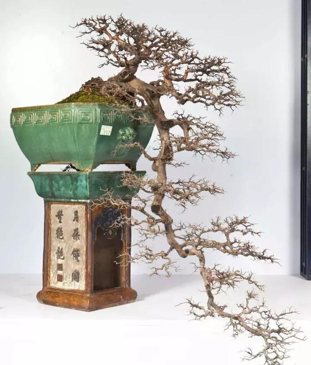 ??????: ???? ??????? ???????? ?? ?????? ?? ?????????