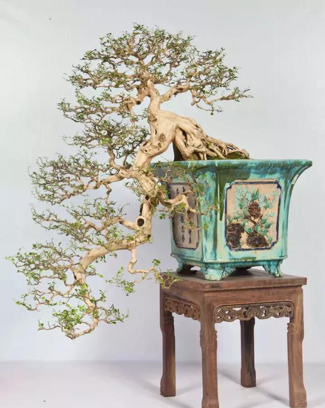 ??????: ???? ??????? ???????? ?? ?????? ?? ?????????