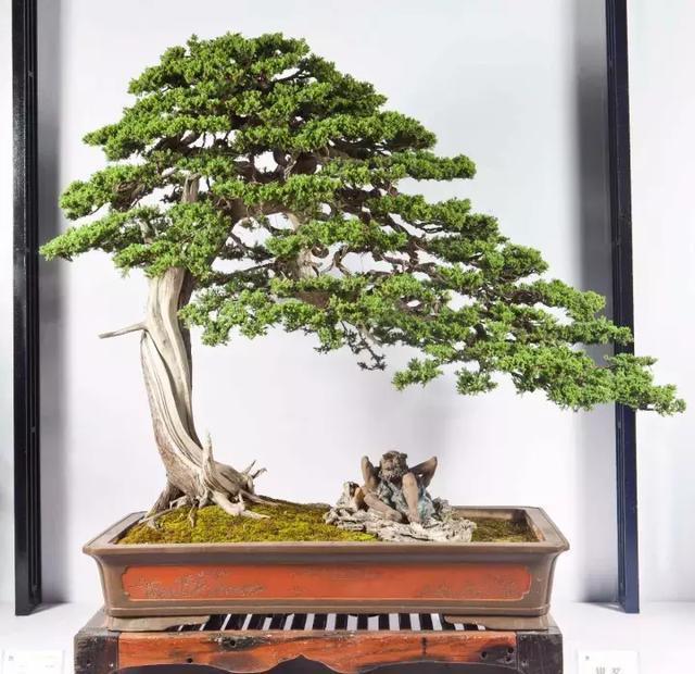 ??????: ???? ??????? ???????? ?? ?????? ?? ?????????