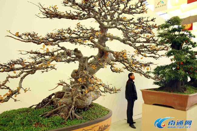 ??????: ???? ??????? ???????? ?? ?????? ?? ?????????