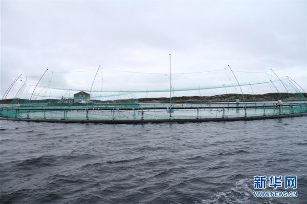 ????? ???? ??? ????? ????? ???? ??? ????? ?? ?????? ????????