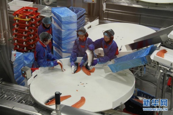 ????? ???? ??? ????? ????? ???? ??? ????? ?? ?????? ????????