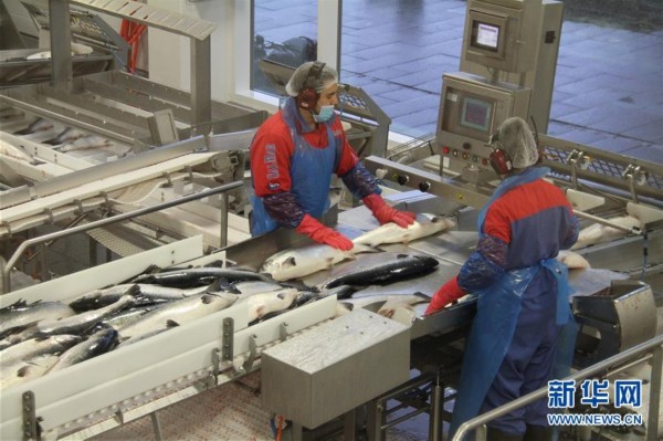 ????? ???? ??? ????? ????? ???? ??? ????? ?? ?????? ????????