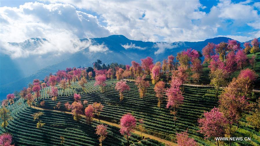 ???? ???? ????? ?? ?????? ??????