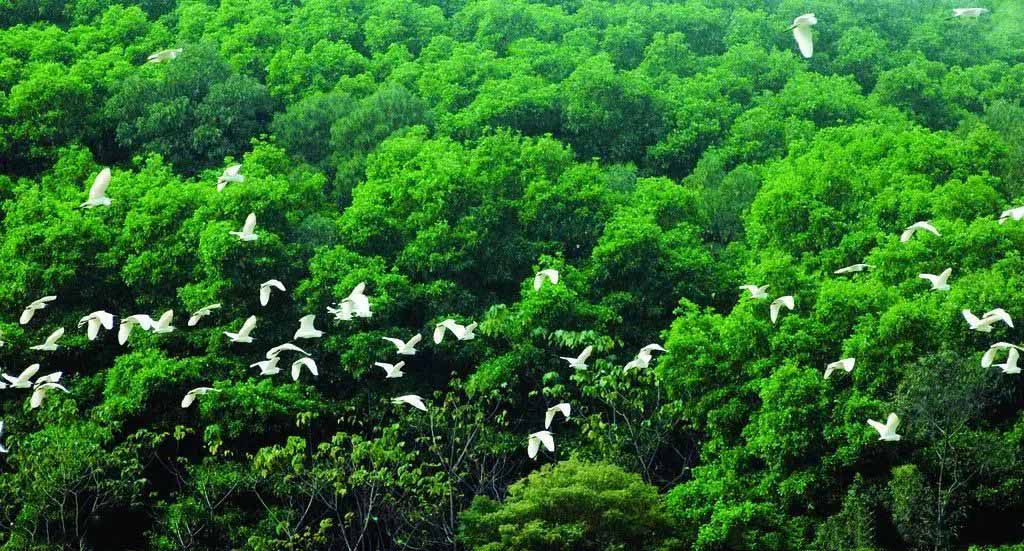 ??? ???? ???? ???? ?? ?????? ?????? 