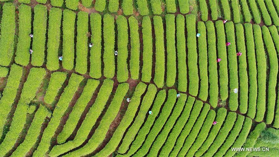 ??? ?????? ????? ?? ?????? ?????? ???? ???? ?????