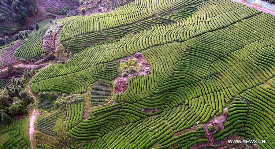 ??? ?????? ????? ?? ?????? ?????? ???? ???? ?????