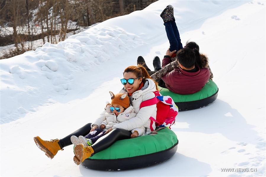 ??????? ????? ???? ???? ????? ??????