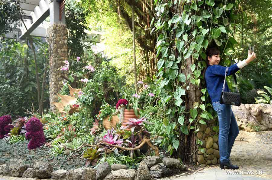 ??????? ????? ???? ???? ????? ??????