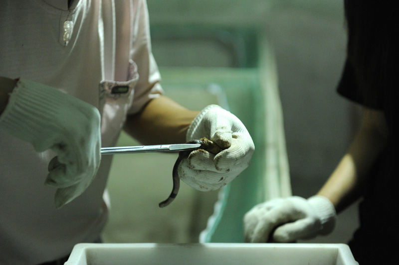 ??????: ?????? ???????? ?? ??? 