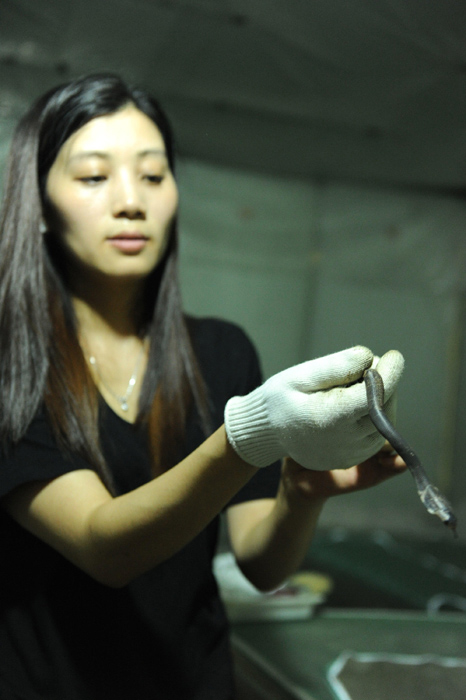 ??????: ?????? ???????? ?? ??? 