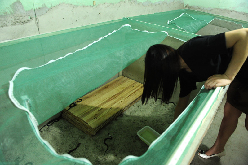 ??????: ?????? ???????? ?? ??? 