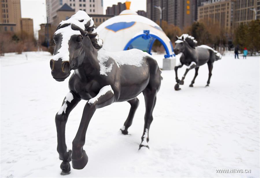 ????? ?????? ????? ?????? ??? ????? ???? ?? ??? ??????