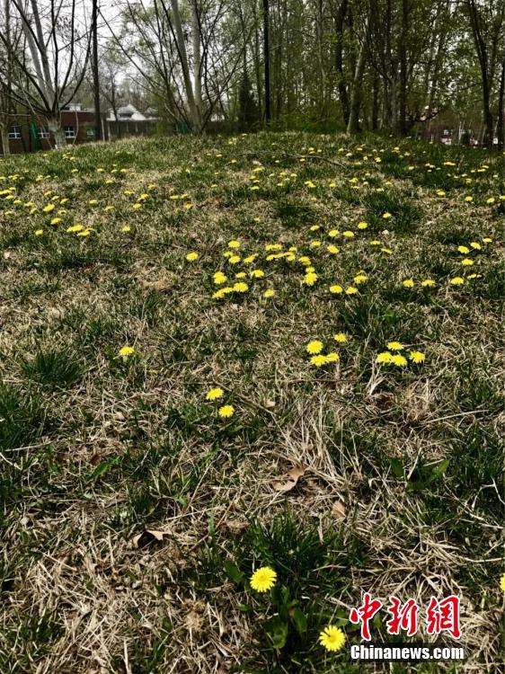 ????? ?????? ????? ?? ??????? ??????? ????? ??? ???? ????