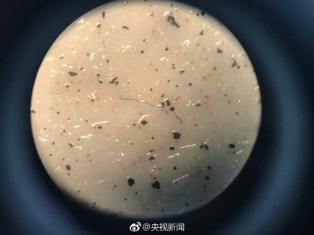 ??????? ???????? ??????? ????????? ?????? ?? ???? ????? ???????