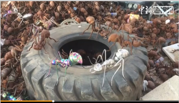 ???? ???? ???????? ????? ?? ???? ???????