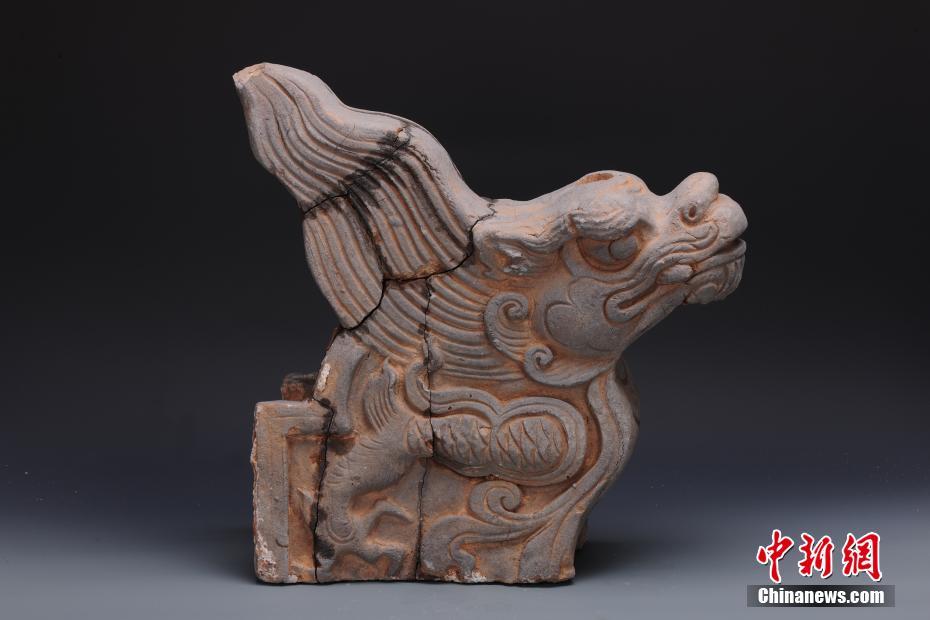 ?????? ????? ???? ???? ???? ??????? ???????