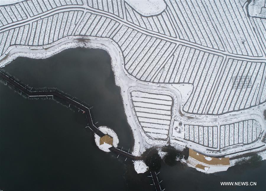 ???? ?? ??? ????? ????? ???? ????? ?????? ?? ???????? ?? ??????