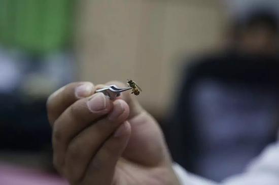 ?????? ?????? ???? ????? ?? ?????? ?? ???? ??????