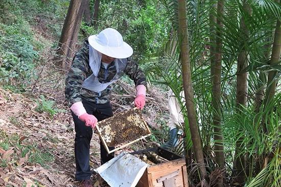 ?????? ?????? ???? ????? ?? ?????? ?? ???? ??????