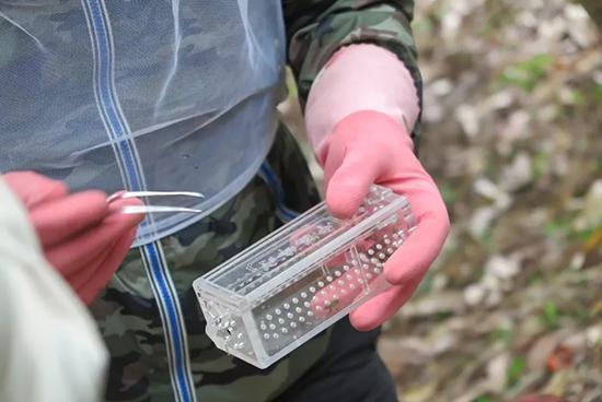 ?????? ?????? ???? ????? ?? ?????? ?? ???? ??????