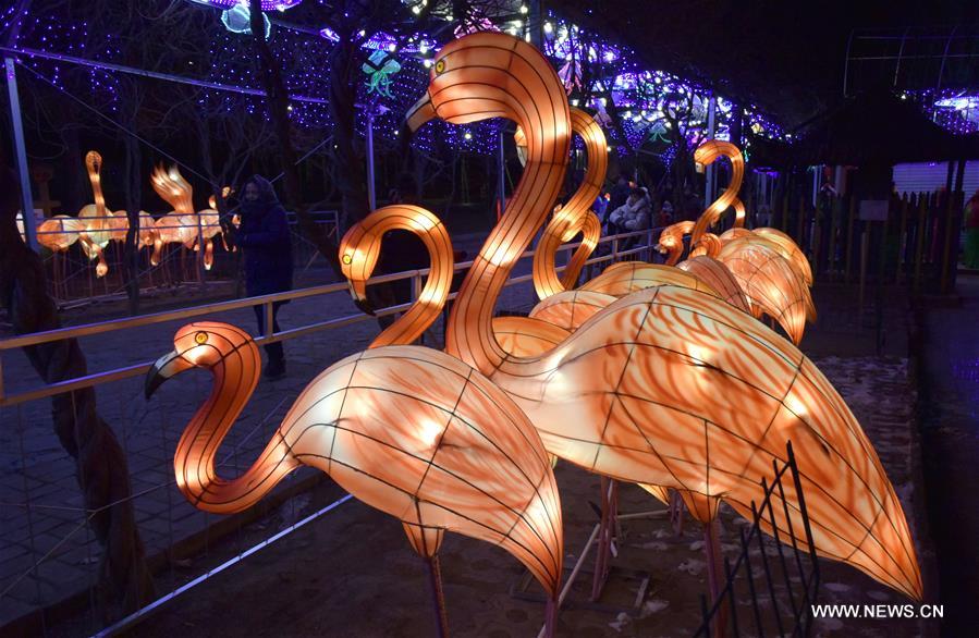 ?????? ???????? ??????? ?? ???? ????? 