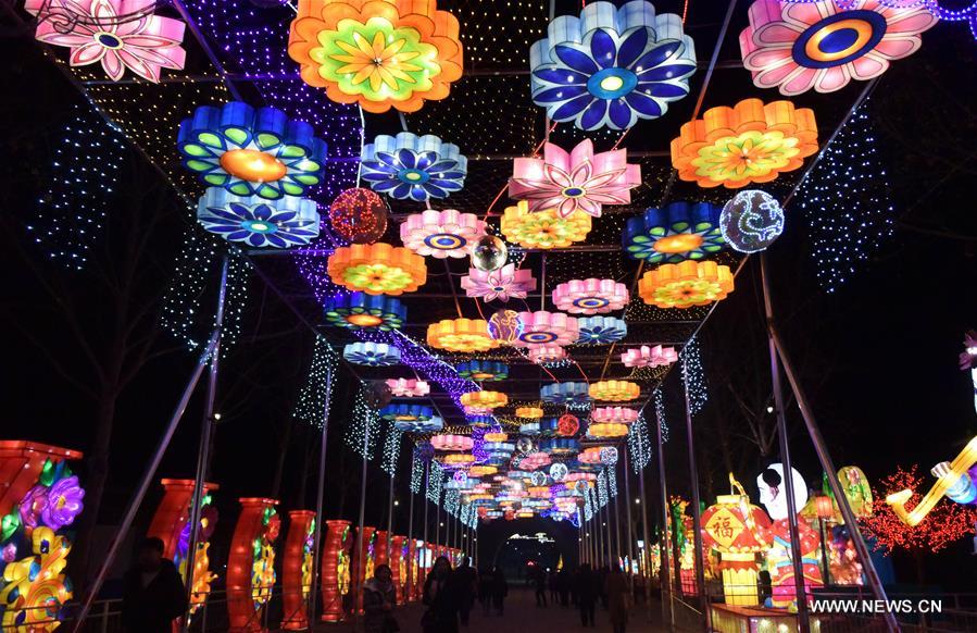 ?????? ???????? ??????? ?? ???? ????? 