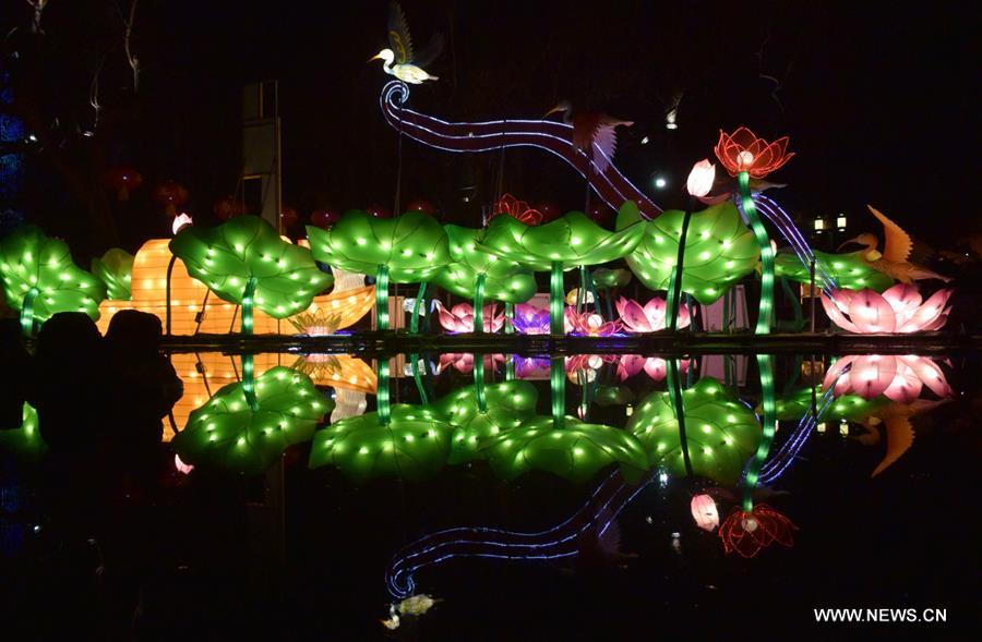 ?????? ???????? ??????? ?? ???? ?????