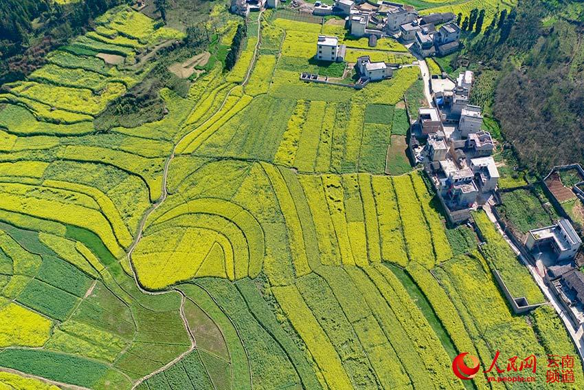 ??????: ???? ?????? ?????? ???? ???? ????? ???????