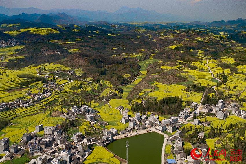 ??????: ???? ?????? ?????? ???? ???? ????? ???????