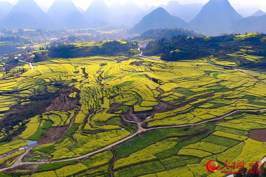 ??????: ???? ?????? ?????? ???? ???? ????? ???????