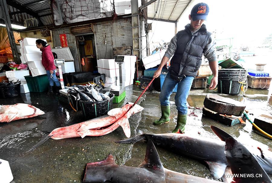 ????? ????? ?? ???? ??????