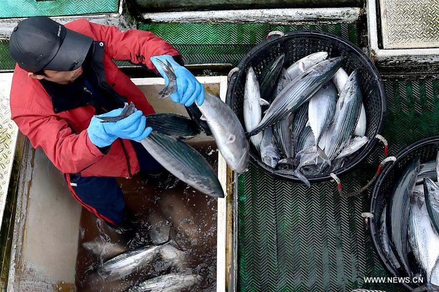 ????? ????? ?? ???? ??????