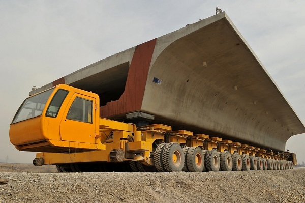 ???? ?????? ???? ?????? ???? ???? 38 ??? ?? ????? 2025